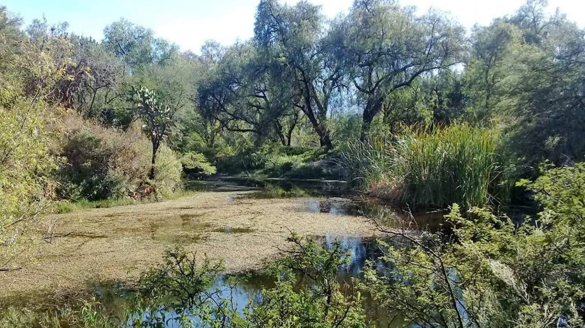 arroyo Los Tepetates